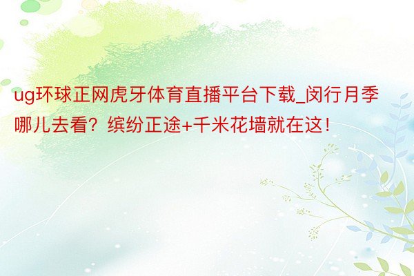 ug环球正网虎牙体育直播平台下载_闵行月季哪儿去看？缤纷正途+千米花墙就在这！