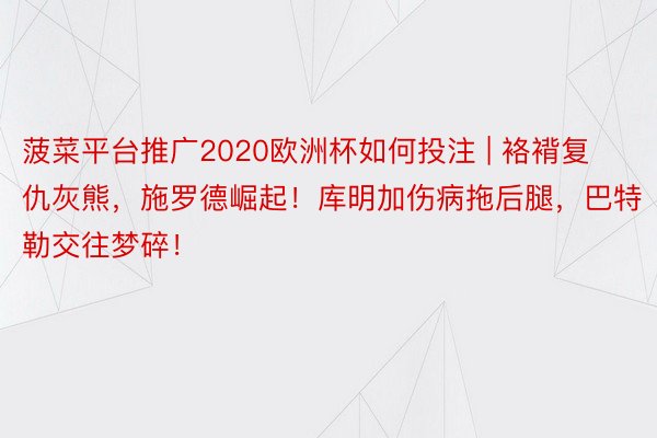 菠菜平台推广2020欧洲杯如何投注 | 袼褙复仇灰熊，施罗德崛起！库明加伤病拖后腿，巴特勒交往梦碎！